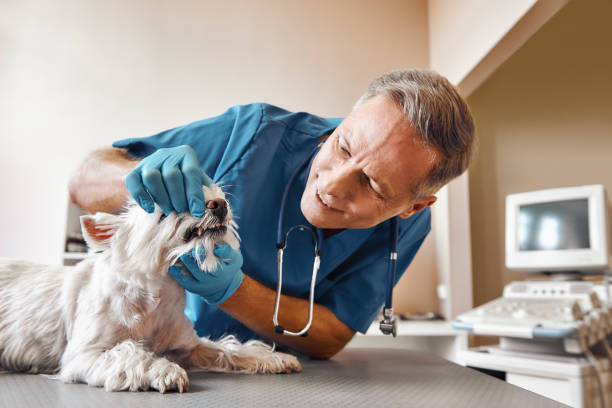 Best Emergency Treatment for Dental Infections or Abscesses in Tracy City, TN