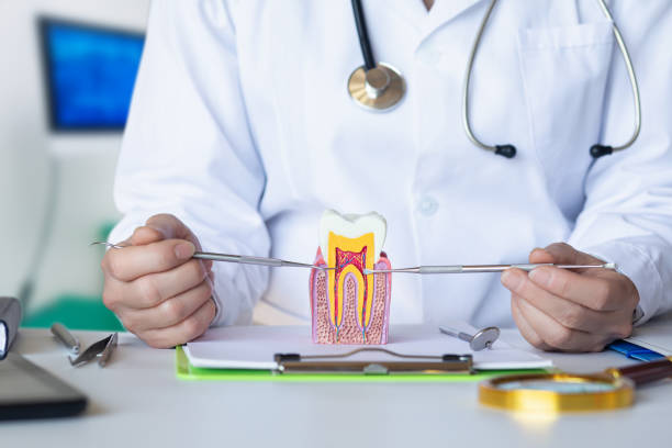 Best Same-Day Emergency Dental Services in Tracy City, TN